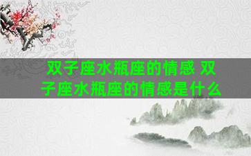 双子座水瓶座的情感 双子座水瓶座的情感是什么
